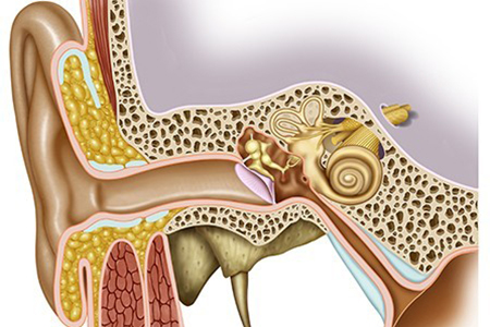 timpanoplastia endoscópica em Curitiba